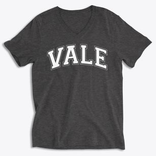 Vale Elementary School Varsity Arch Soft Lightweight V-Neck