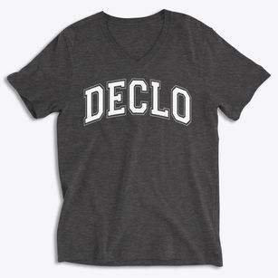 Declo High School Varsity Arch Soft Lightweight V-Neck