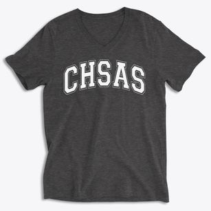 Chicago High School Agricultural Science Varsity Arch Soft Lightweight V-Neck