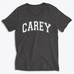 Carey Elementary School Varsity Arch Soft Lightweight V-Neck