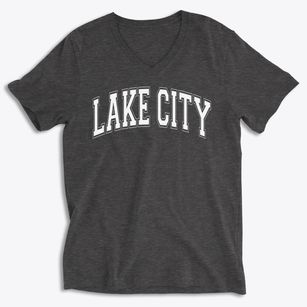 Lake City Elementary School Varsity Arch Soft Lightweight V-Neck