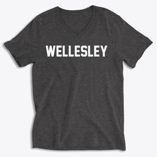Wellesley Massachusetts Classic Block Soft Lightweight V-Neck