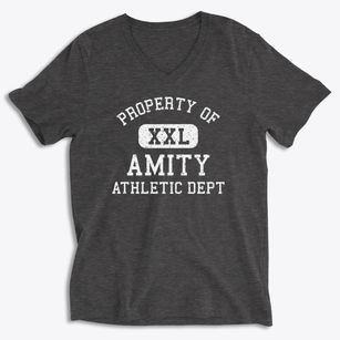 Amity Arkansas Athletic Dept Soft Lightweight V-Neck