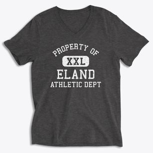 Eland Wisconsin Athletic Dept Soft Lightweight V-Neck