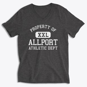 Allport Arkansas Athletic Dept Soft Lightweight V-Neck
