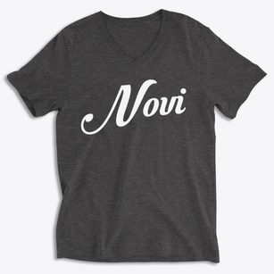 Novi Michigan Vintage Team Soft Lightweight V-Neck