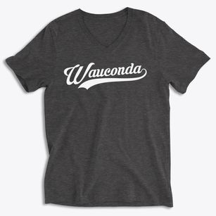 Wauconda Illinois Vintage Team Soft Lightweight V-Neck