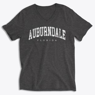Auburndale Florida Urban Vibe Soft Lightweight V-Neck