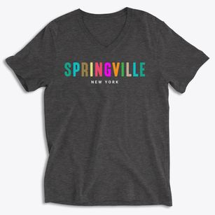 Springville New York Color Pop Soft Lightweight V-Neck
