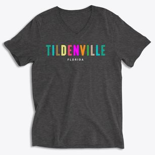 Tildenville Florida Color Pop Soft Lightweight V-Neck