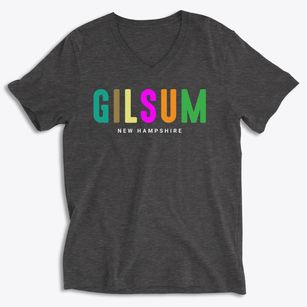Gilsum New Hampshire Color Pop Soft Lightweight V-Neck