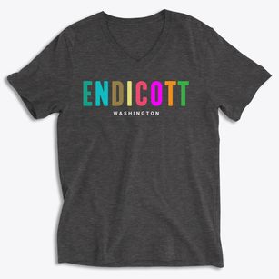 Endicott Washington Color Pop Soft Lightweight V-Neck